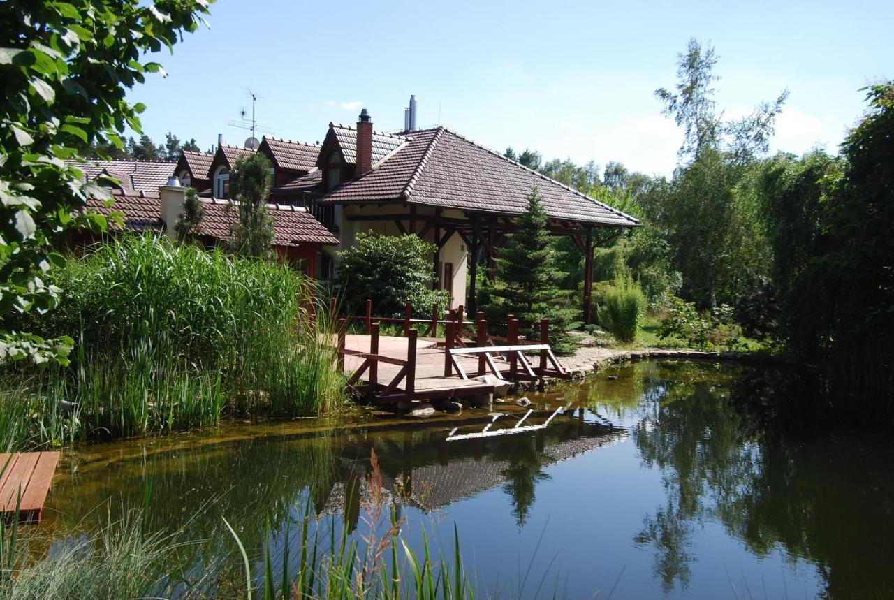 Ivanek Guest House Zvíkovské Podhradí Exterior foto