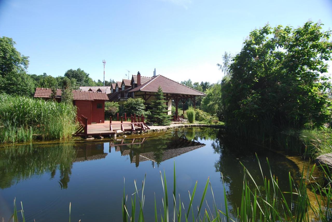 Ivanek Guest House Zvíkovské Podhradí Exterior foto