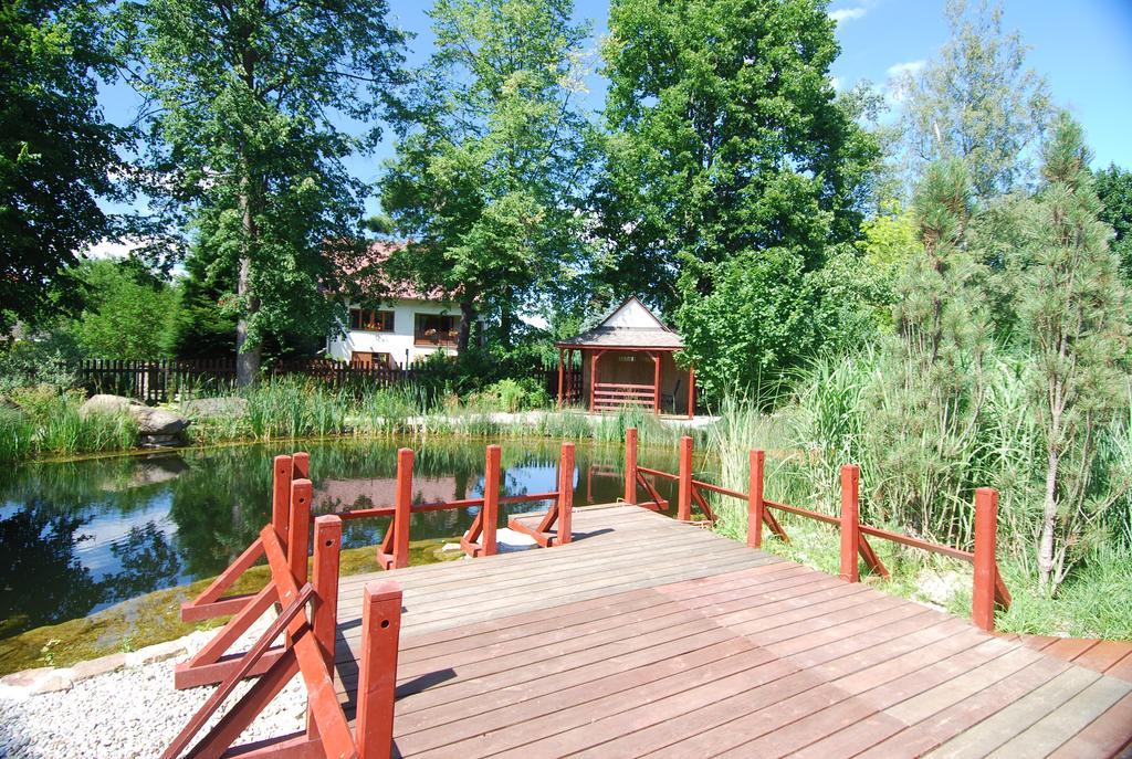 Ivanek Guest House Zvíkovské Podhradí Exterior foto